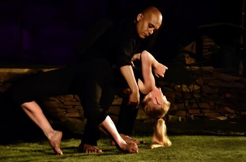 The red Circle | 2017