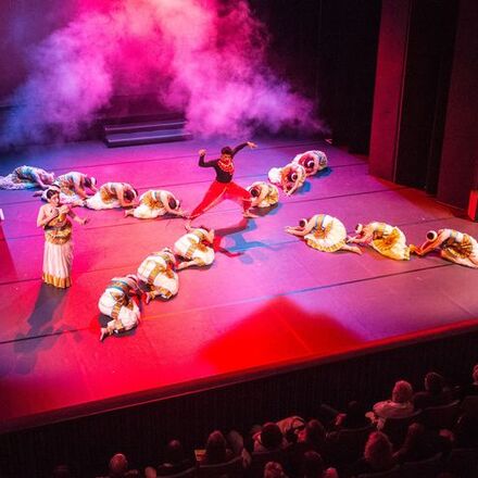 Schwanensee - Meissen (2013)