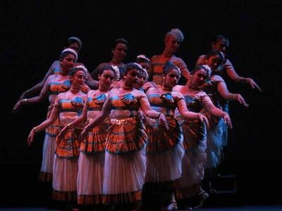 Schwanensee - Meissen (2013)