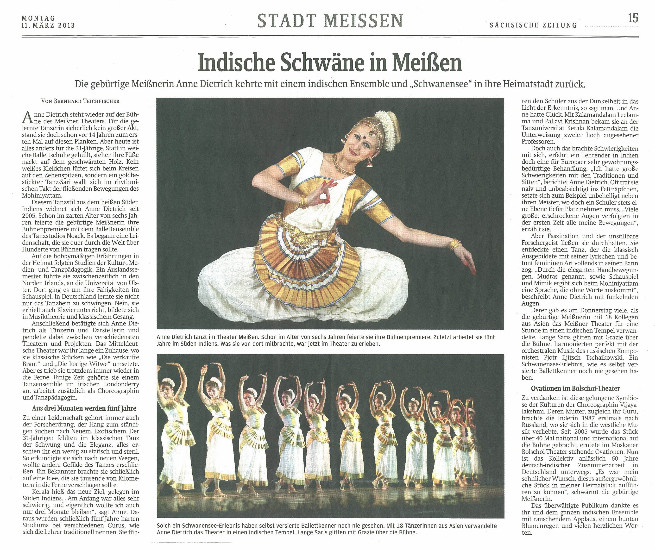 Zeitungsartikel SZ Meissen "Indische Schwäne in Meissen"